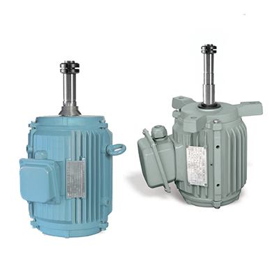 YCL3系列冷卻塔專(zhuān)用三相異步電動(dòng)機(jī)